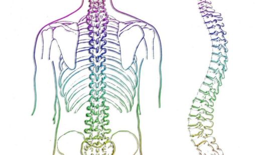 Cauda Equina Syndrome Claims Cauda Equina Syndrome Claims