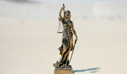 Judicial Reviews​